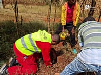Tree Planting & Blackboard Painting Project