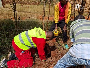 Tree Planting & Blackboard Painting Project
