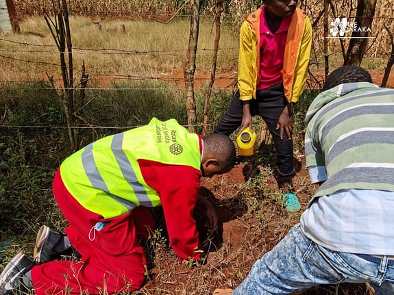 Tree Planting & Blackboard Painting Project